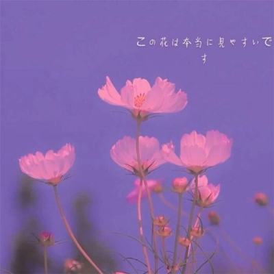 佩里亚编年史
